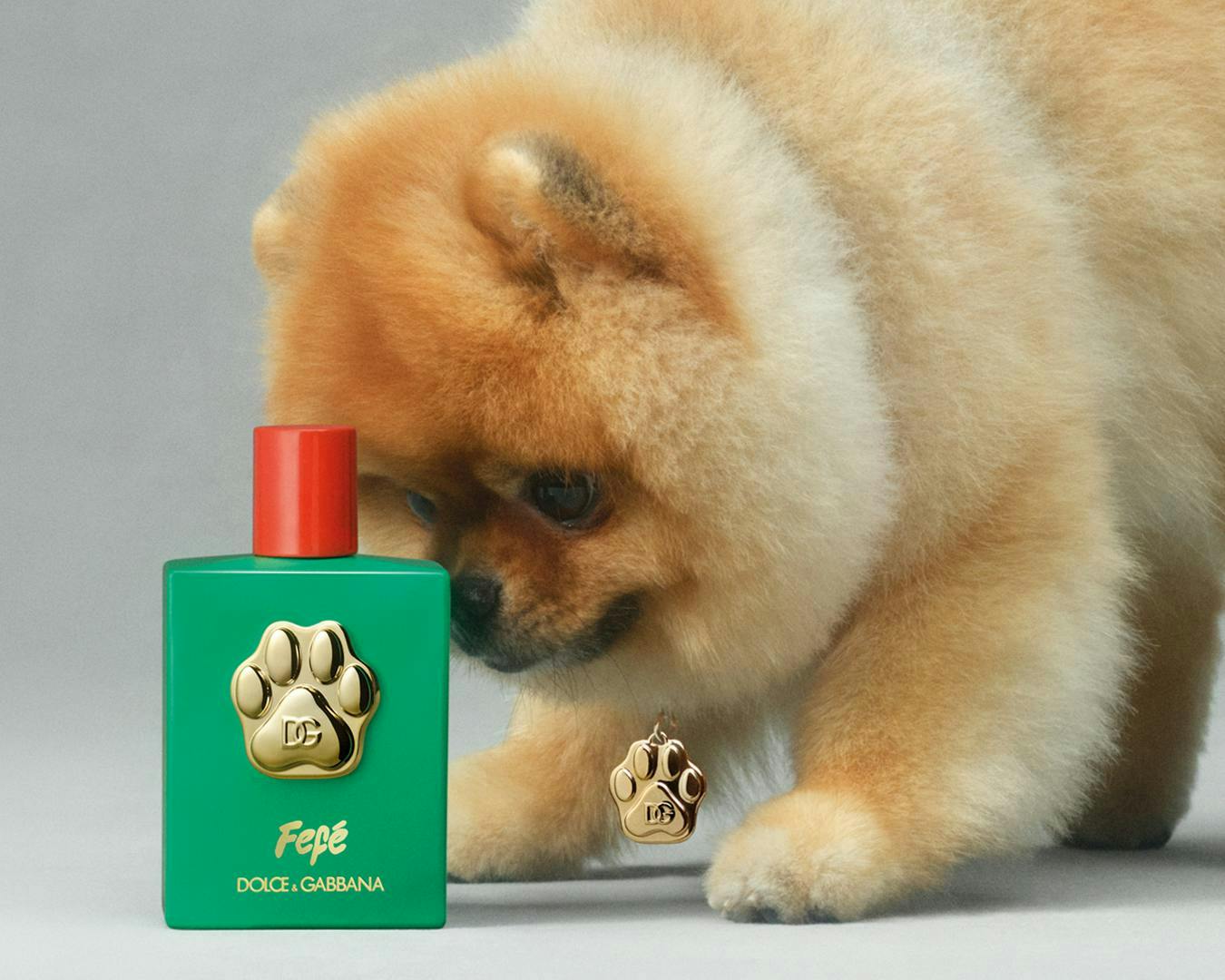 Nước hoa Dolce&Gabbana
