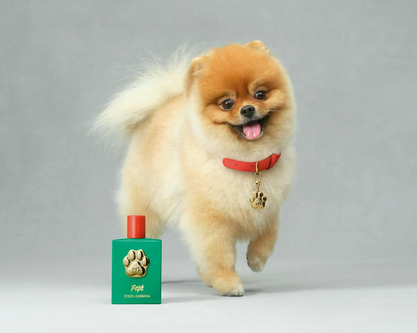 Nước hoa Dolce&Gabbana