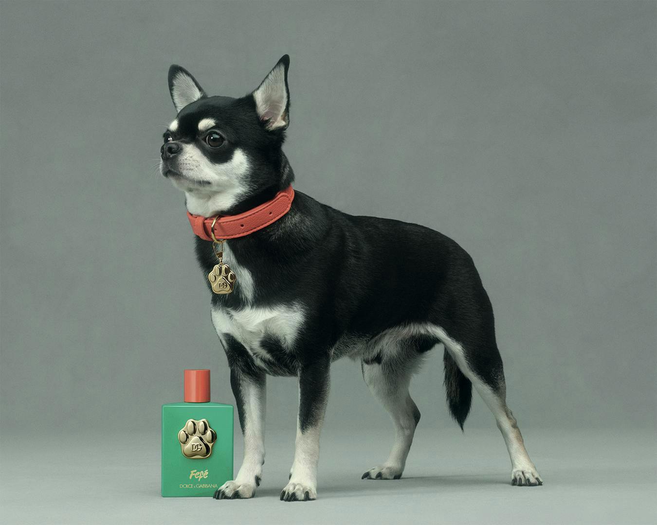 Nước hoa Dolce&Gabbana