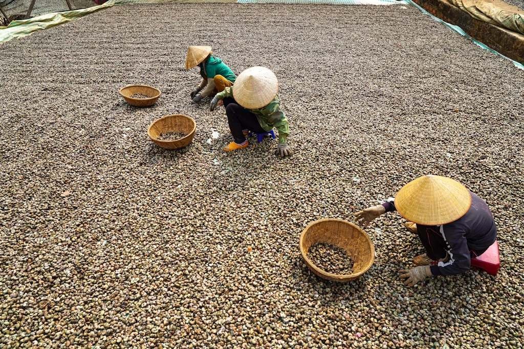 Du lịch Buôn Ma Thuột