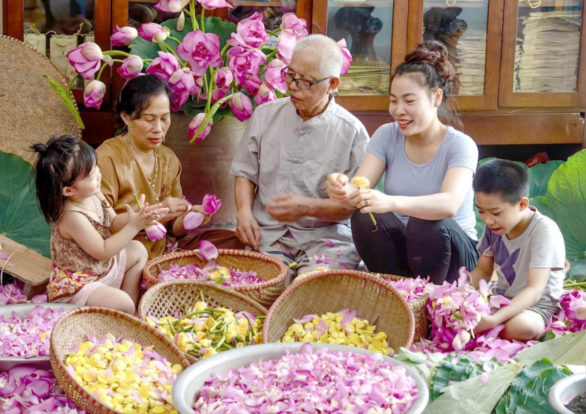 Trà sen Tây Hồ