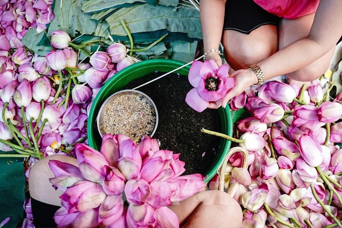 Trà sen Tây Hồ