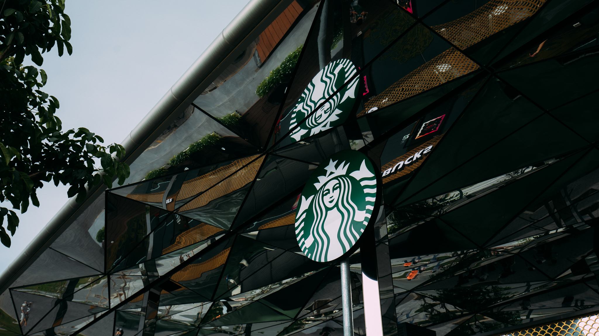 Starbucks chính thức mở cửa hàng có view đẹp nhất Sài Gòn, ngắm trọn thành phố với 100k thì giới trẻ cũng chịu khó check-in rần rần