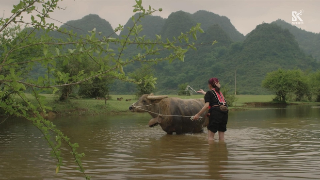 Phim Đi giữa trời rực rỡ