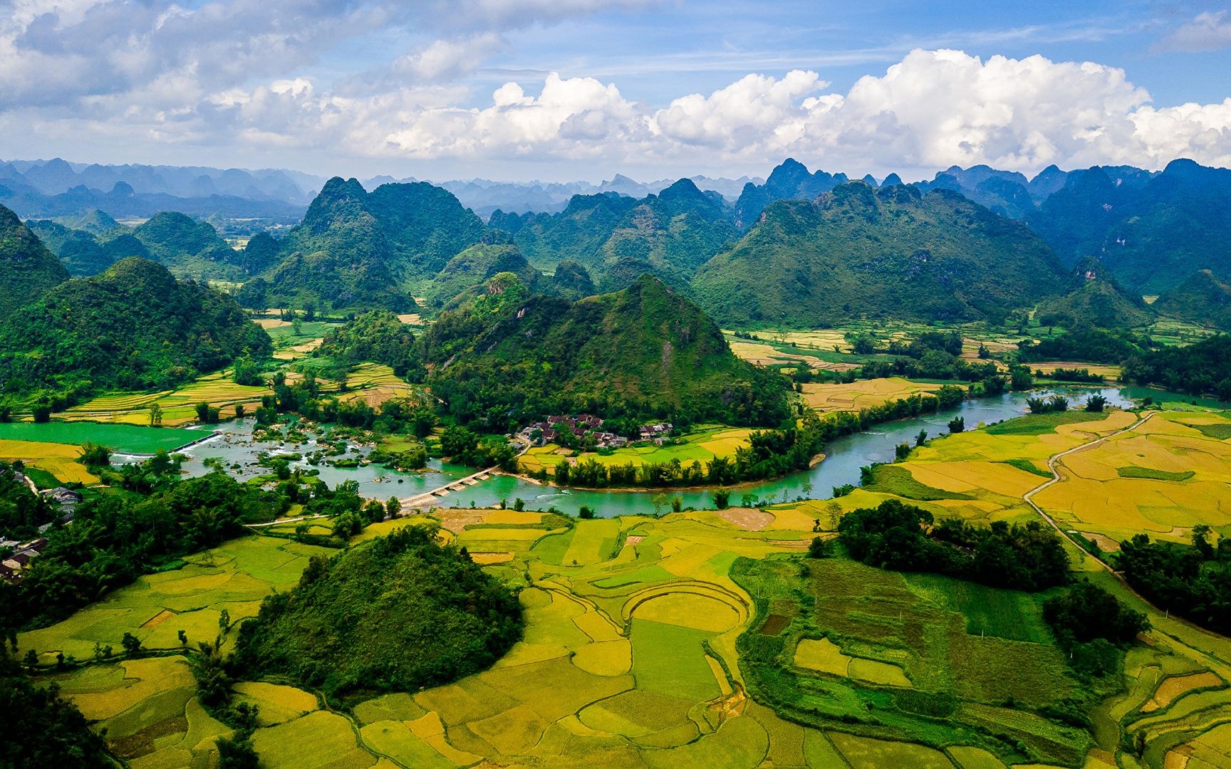 Phim Đi giữa trời rực rỡ
