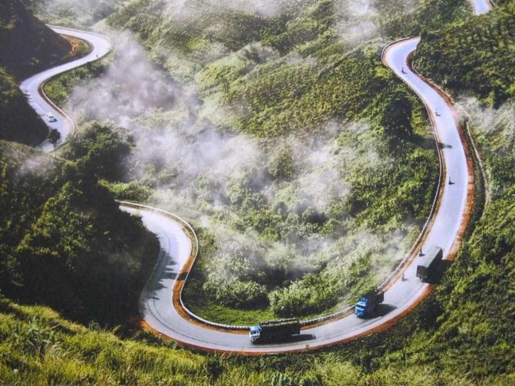 Phim Đi giữa trời rực rỡ