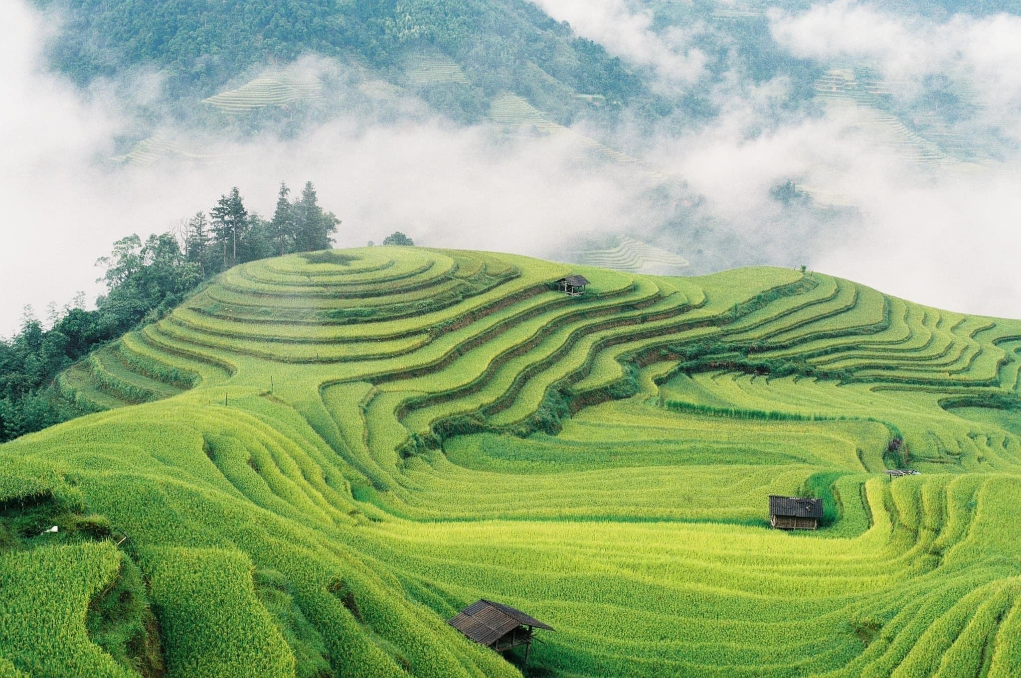 Du lịch Hoàng Su Phì