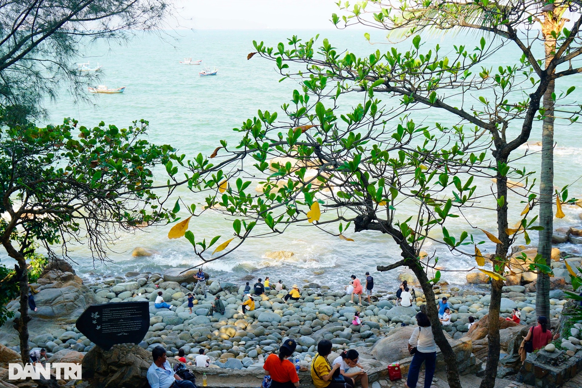 Du lịch Quy Nhơn