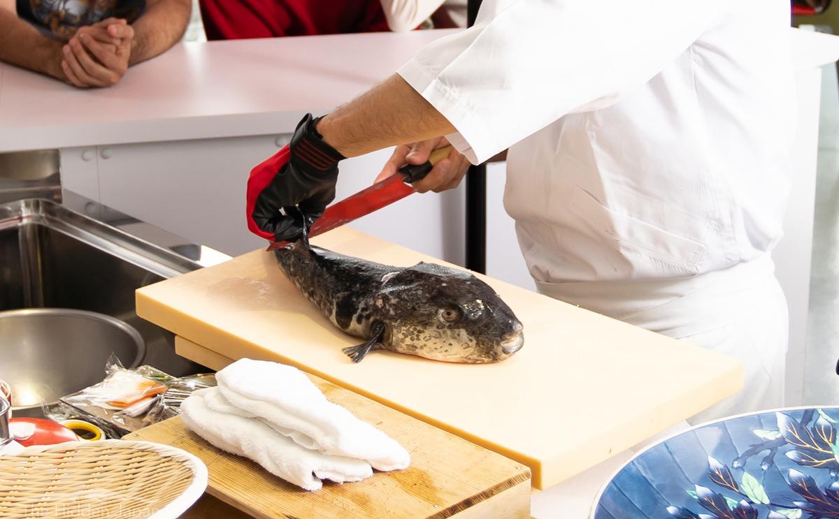 Sashimi cá nóc