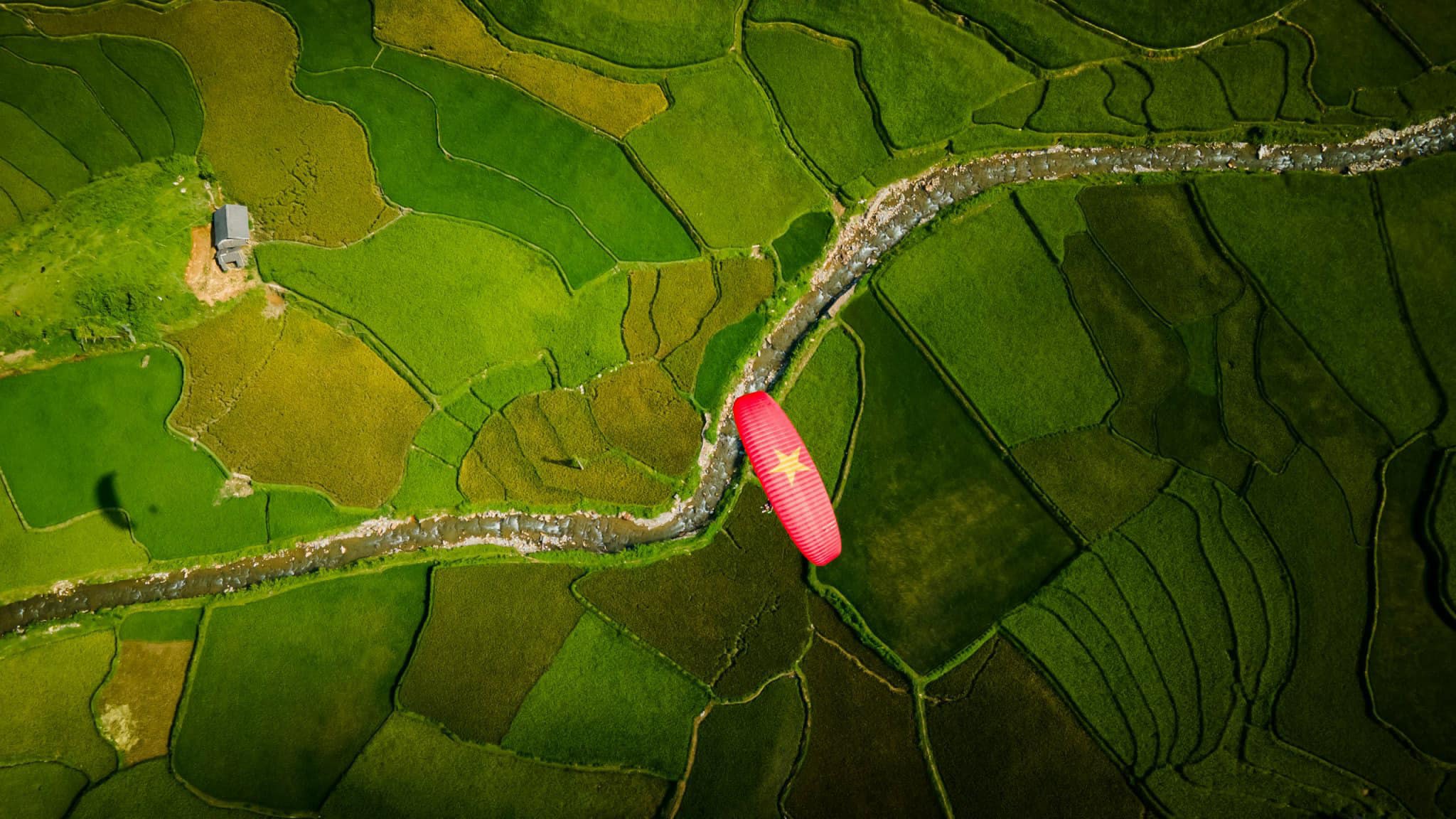 Dù lượn Mù Cang Chải