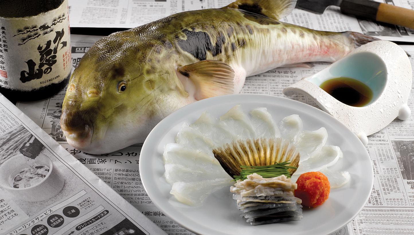 Sashimi cá nóc