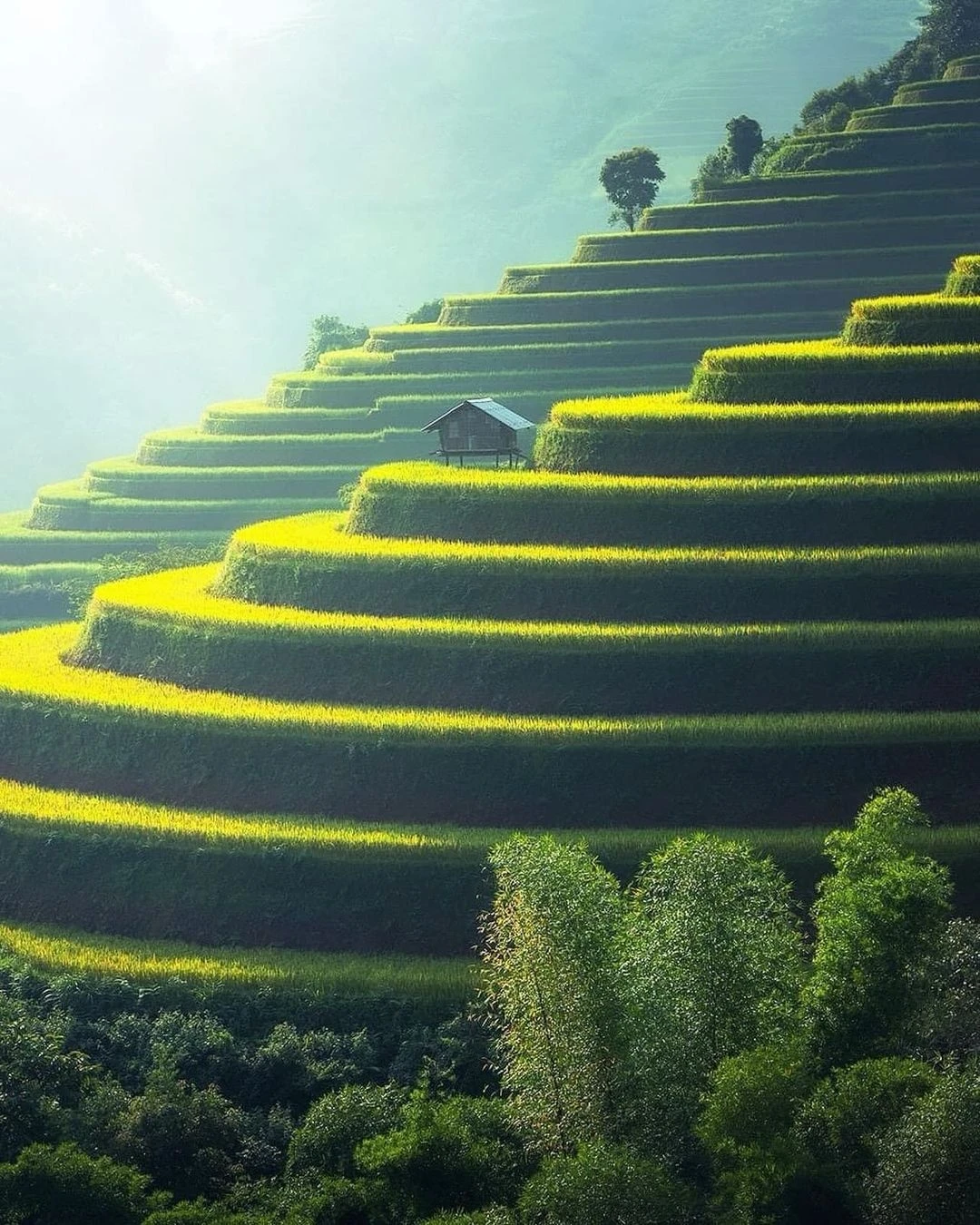 Báo Tây nói Mù Cang Chải có vẻ đẹp vô thực
