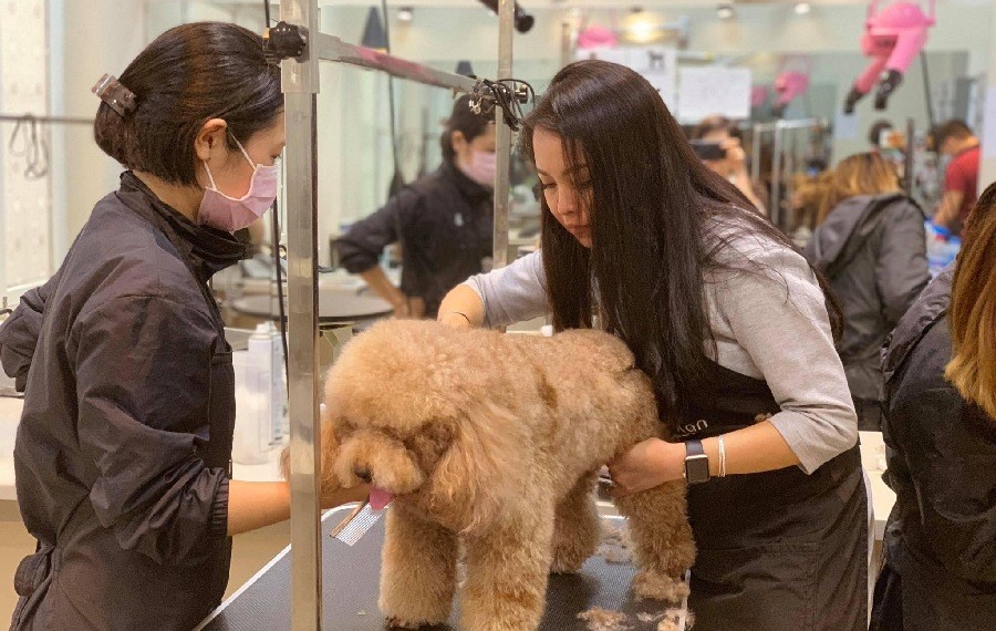 Những dịch vụ dành riêng cho giới “siêu giàu” tại New York, Mỹ