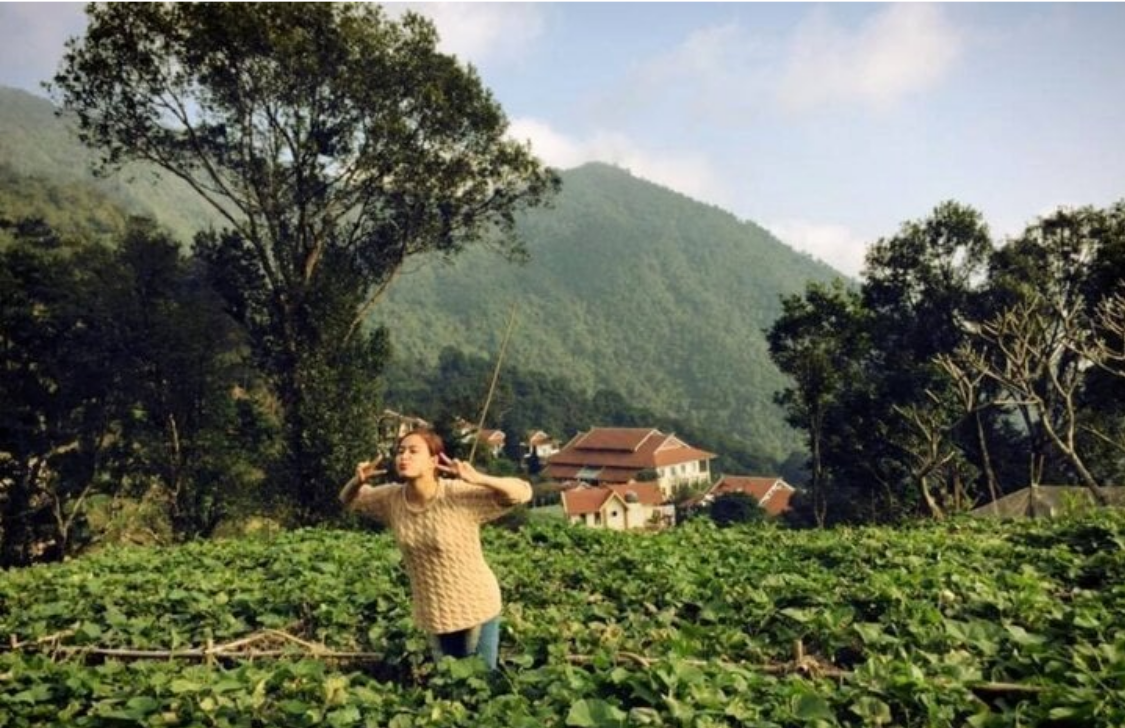 Hoàng Thùy Linh sinh con