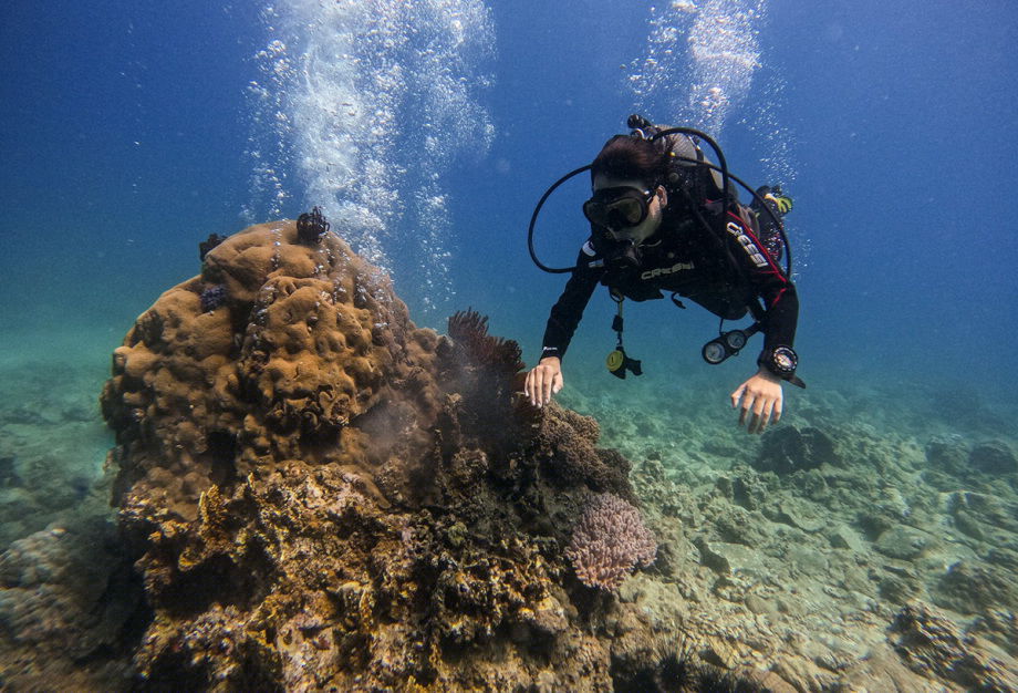 Lặn biển Nha Trang