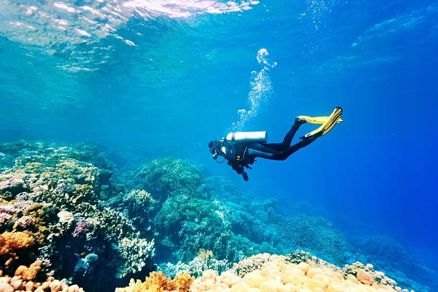 Lặn biển Nha Trang