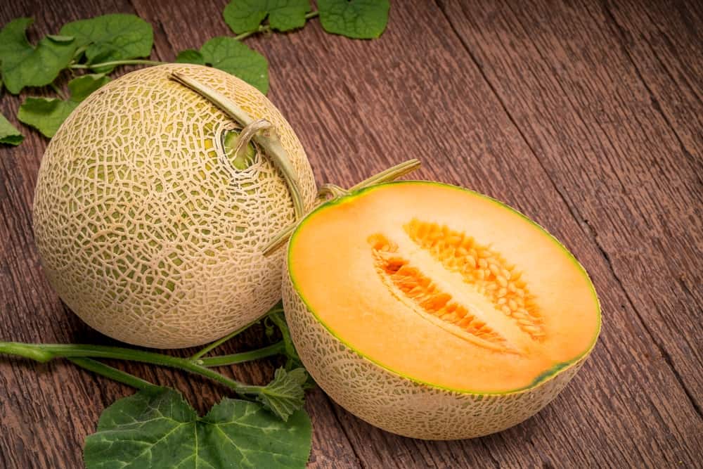 8 loại quả đắt nhất thế giới, có loại quả có mức giá bằng một nửa căn nhà