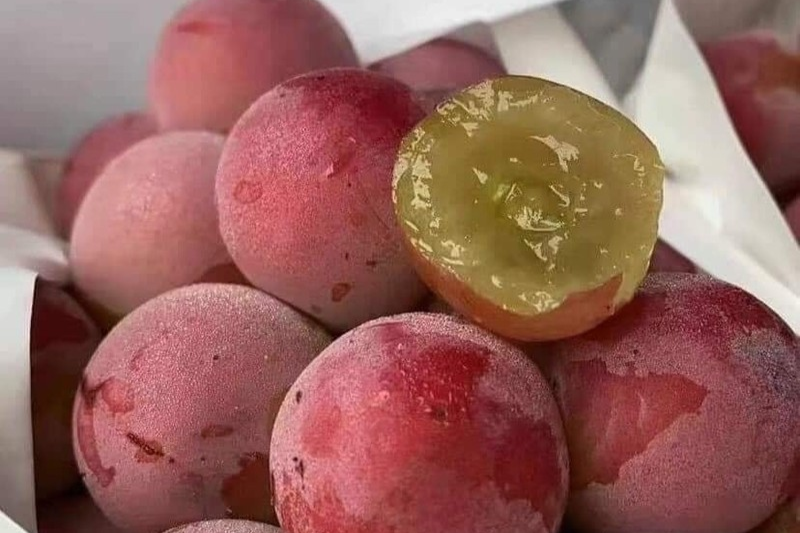 Ruby Roman Nhật Bản loại nho đắt nhất thế giới