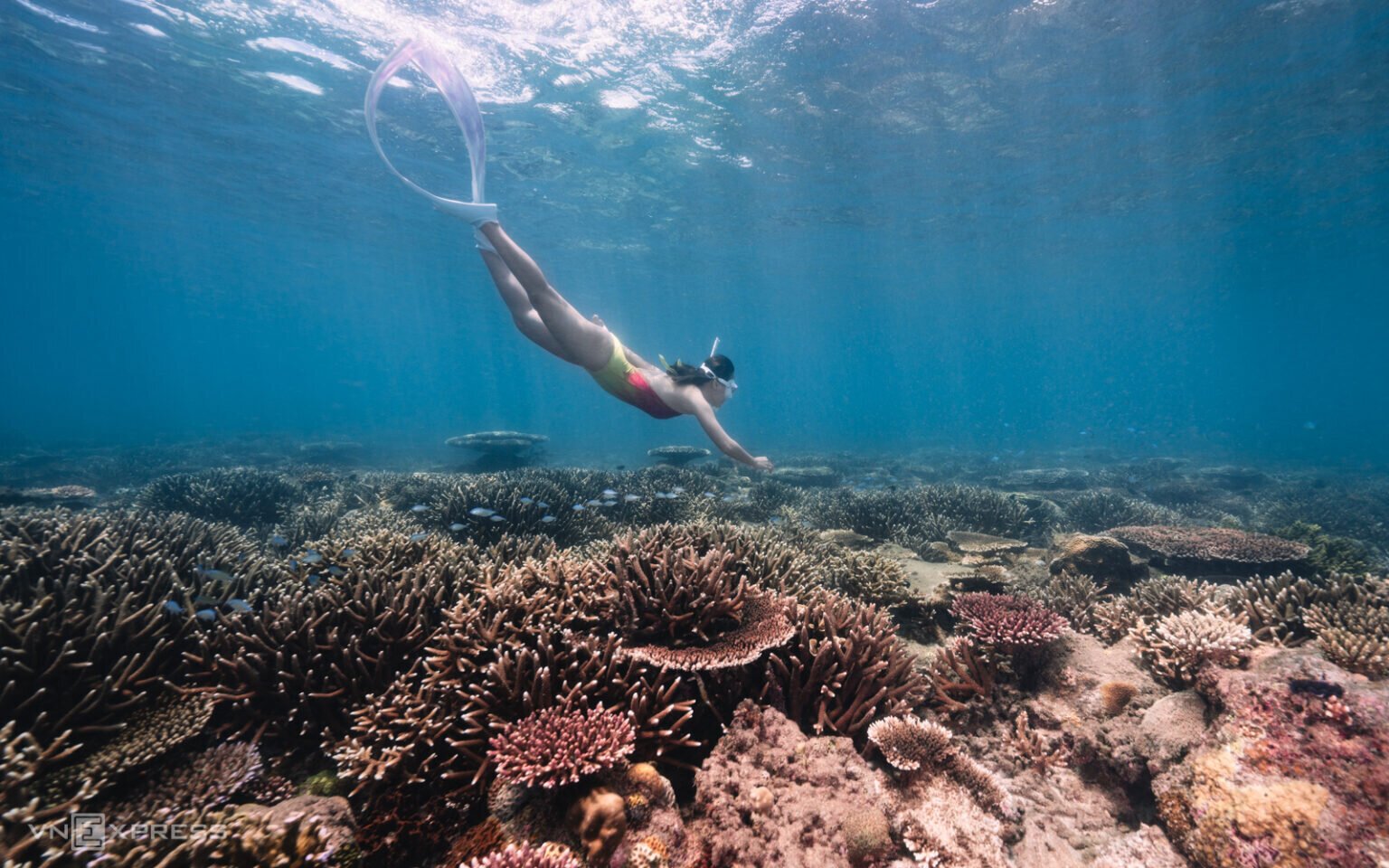 Du lịch Côn Đảo