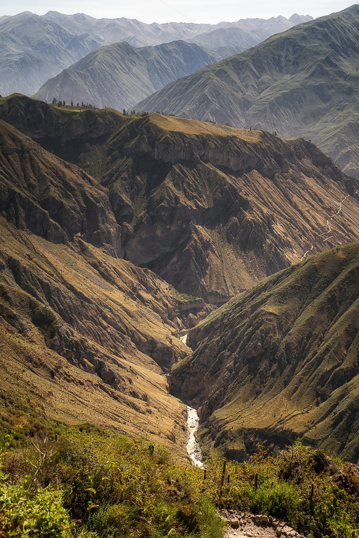 Du lịch Peru ngắm hình vẽ bí ẩn khổng lồ