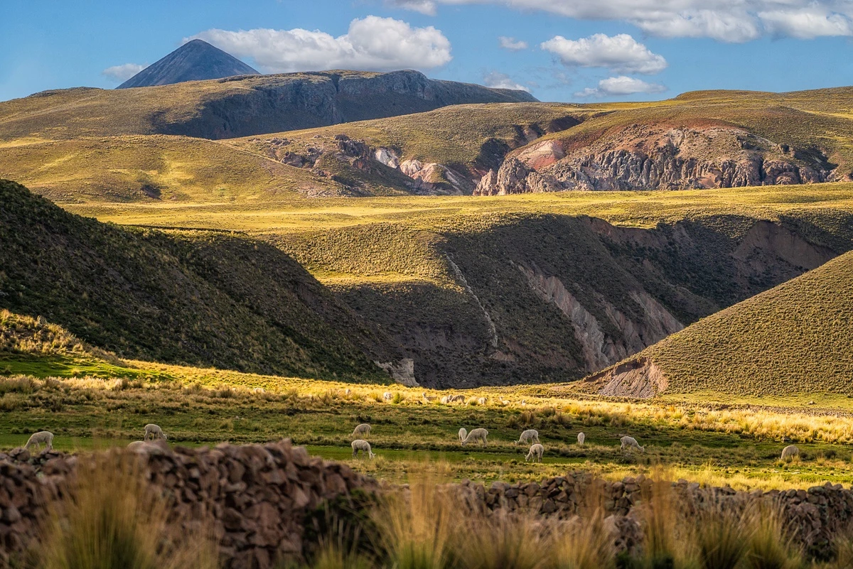 Du lịch Peru ngắm hình vẽ bí ẩn khổng lồ