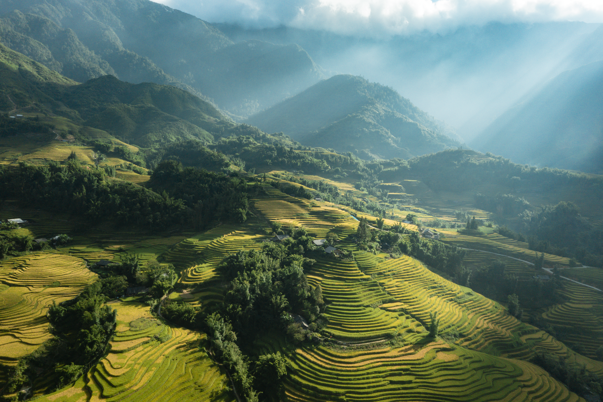 Điểm đến lý tưởng ở Việt Nam trả lời cho câu "Đi trăng mật ở đâu?"