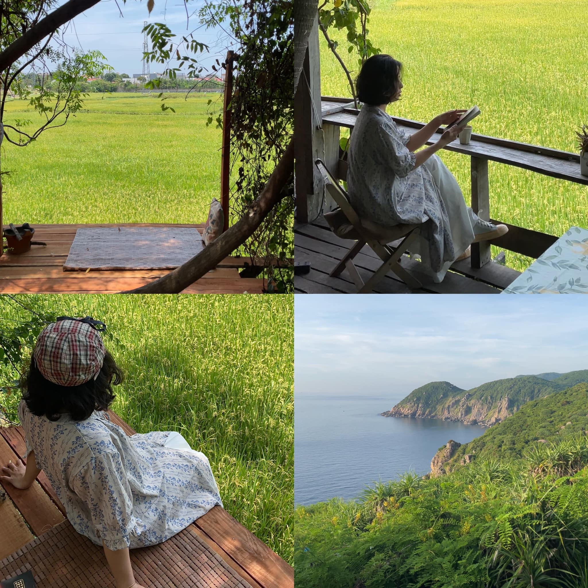 Du lịch Phú Yên