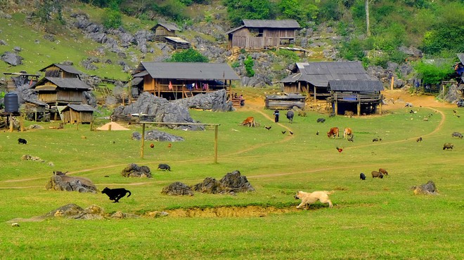 Du lịch Mộc Châu