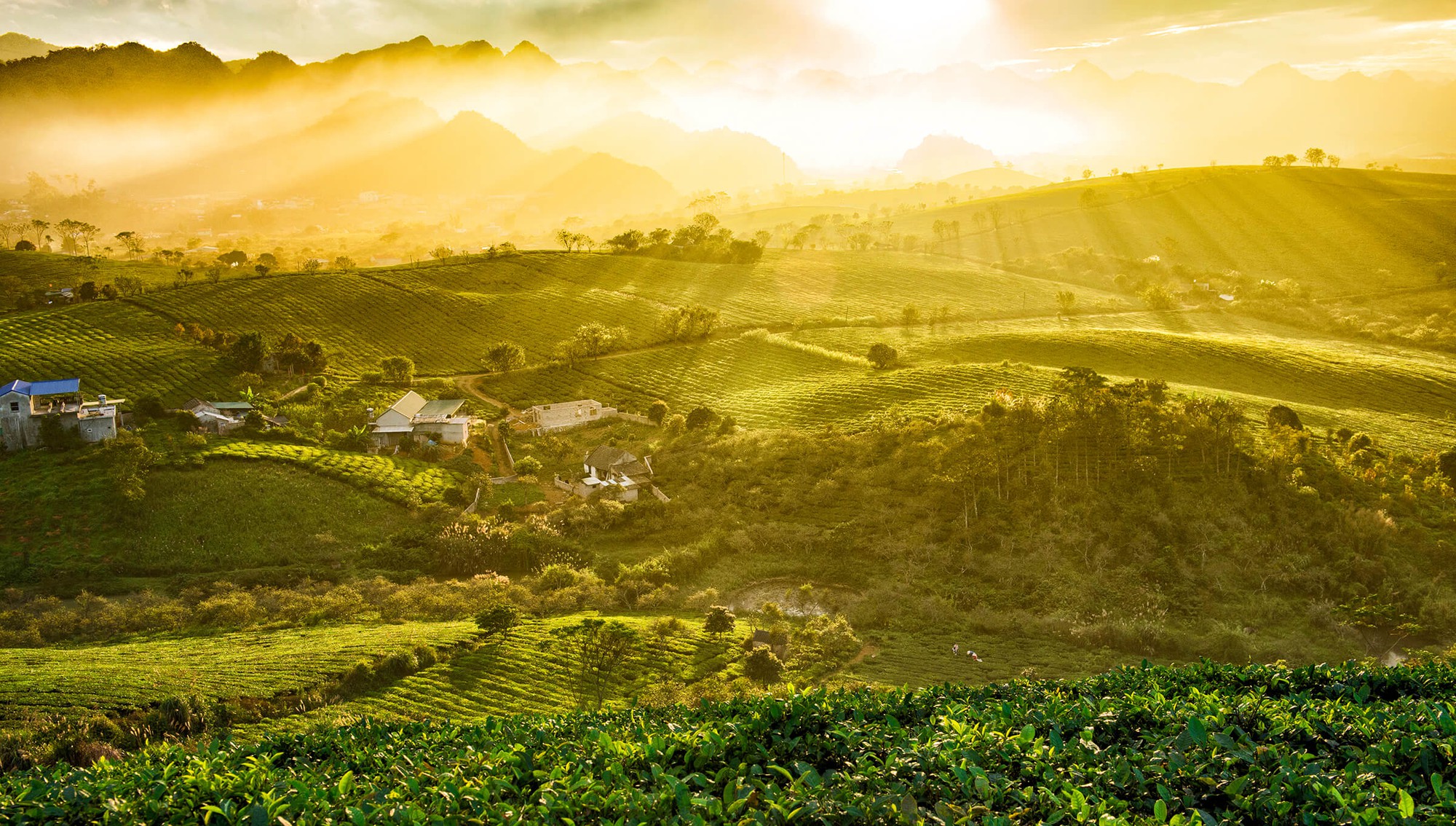 Địa phương Việt Nam từng được vinh danh "hàng đầu thế giới", được ví như viên ngọc xanh, mùa nào cũng đẹp