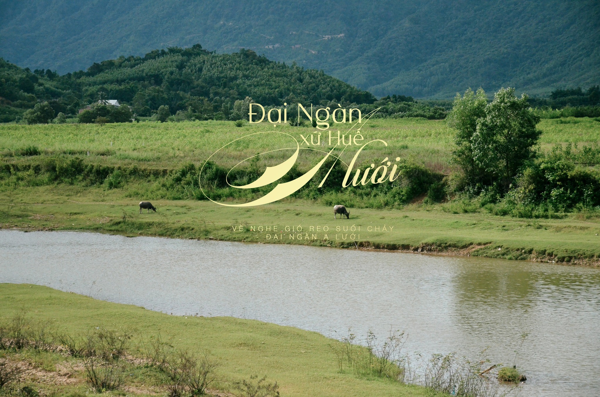 Du lịch Huế