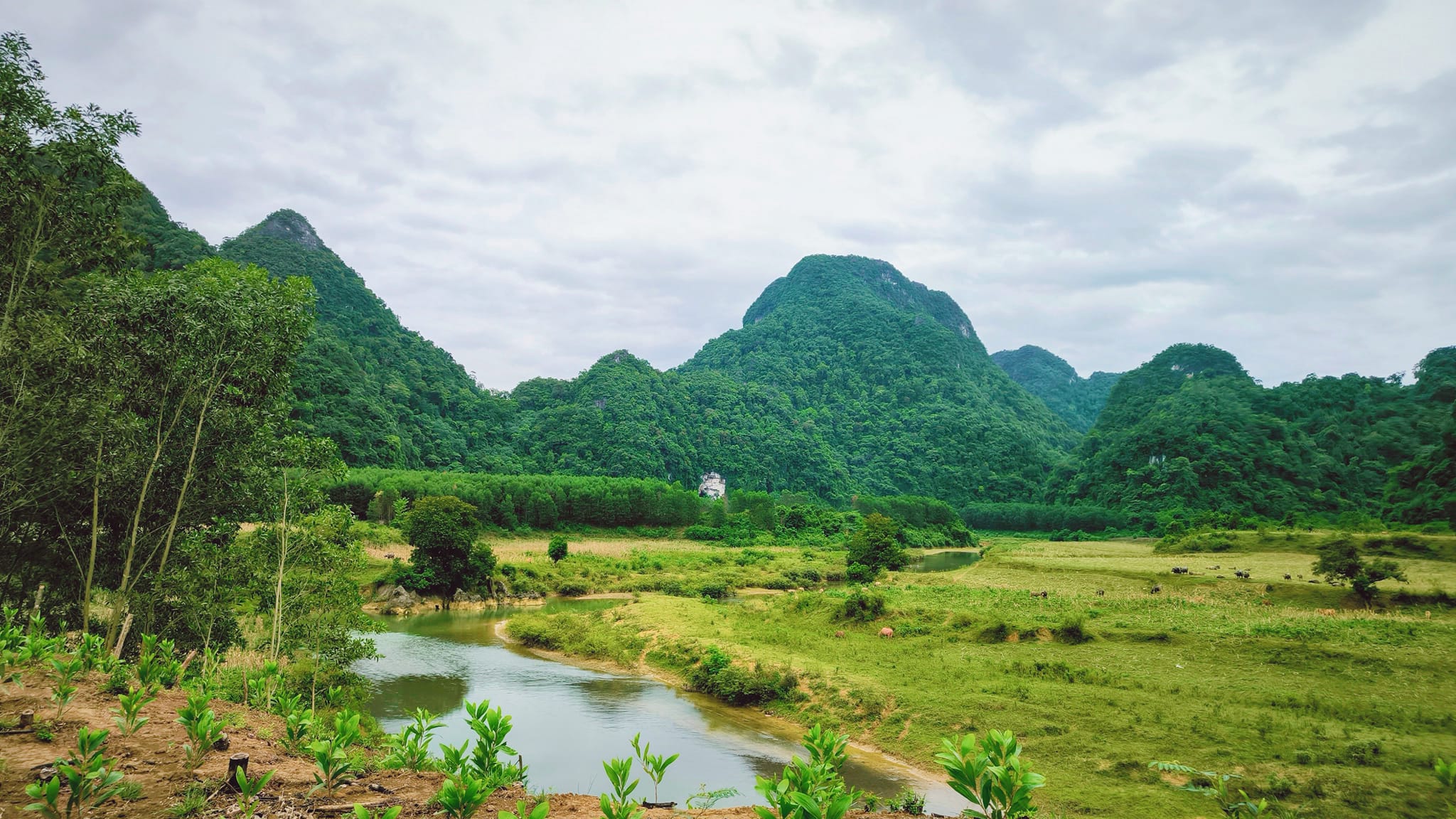 Tân Hóa Quảng Bình