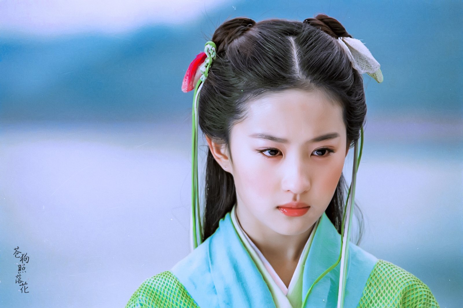 Lưu Diệc Phi là ai