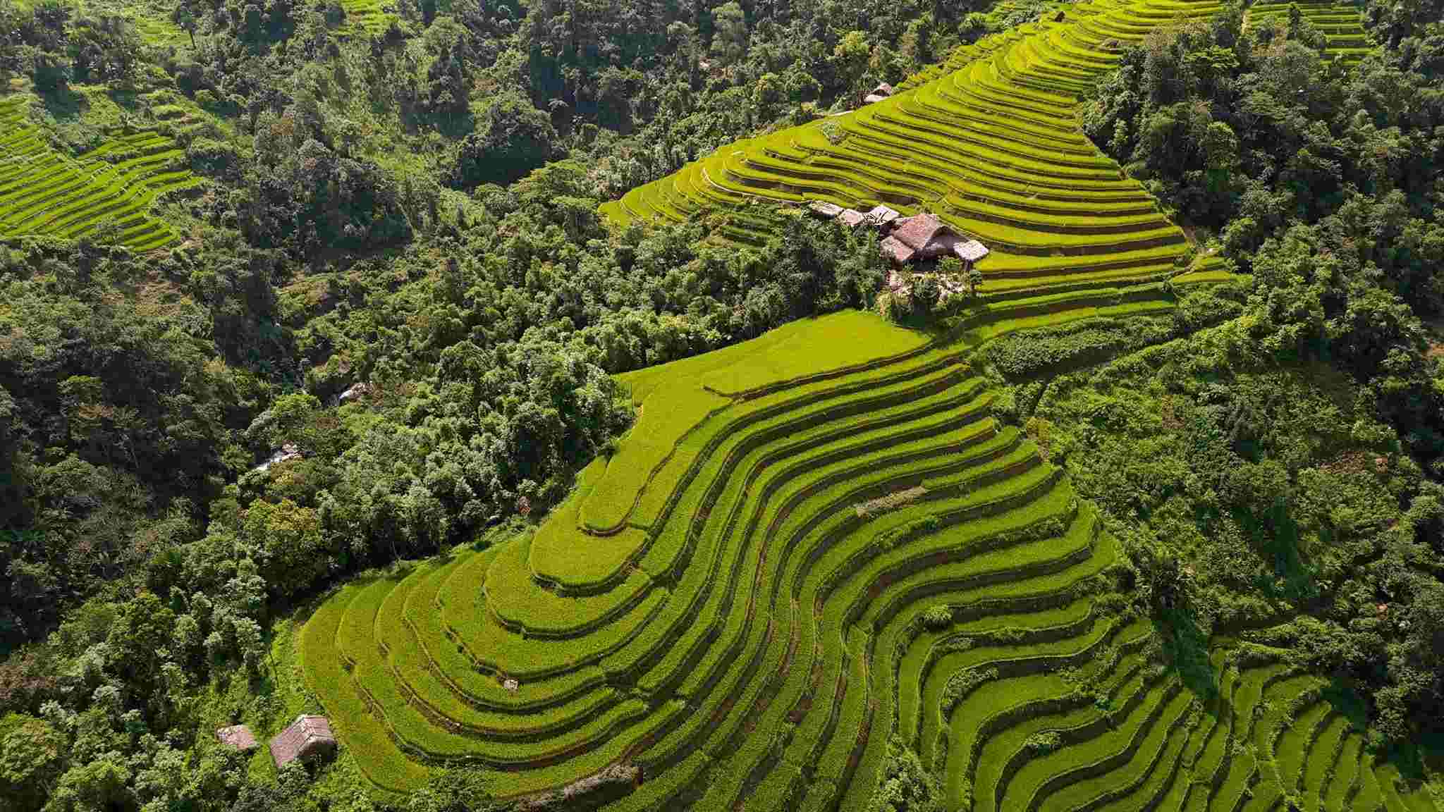 Mùa lúa vẹn nguyên sau bão, Hà Giang mời khách trở lại