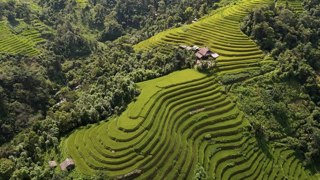 Hoàng Su Phì Hà Giang