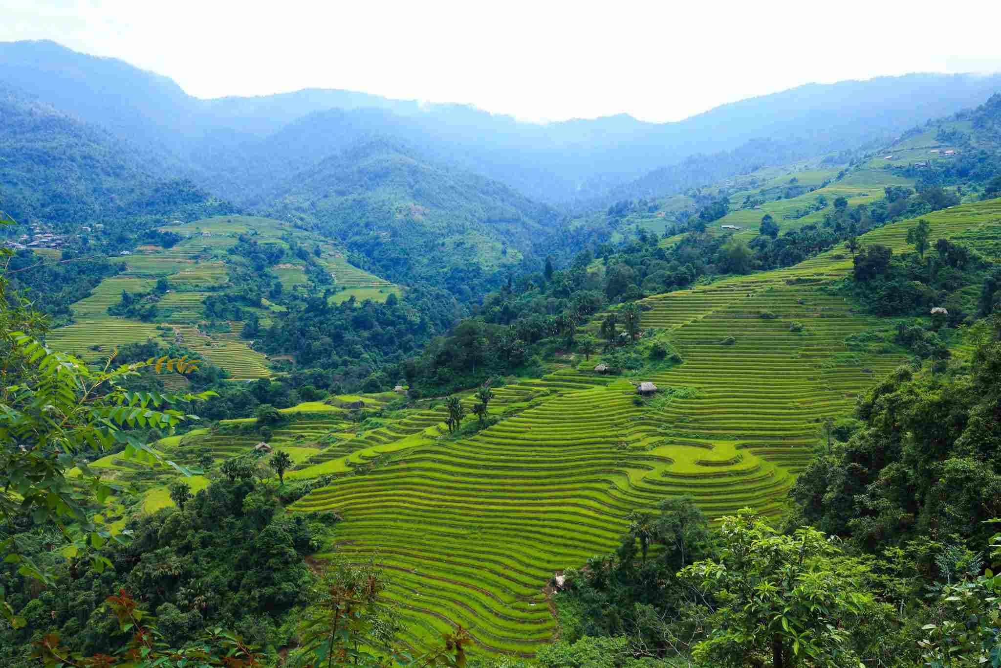 Hoàng Su Phì Hà Giang
