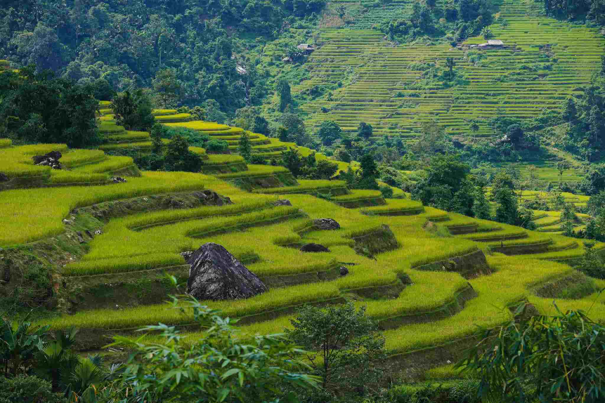 Hoàng Su Phì Hà Giang