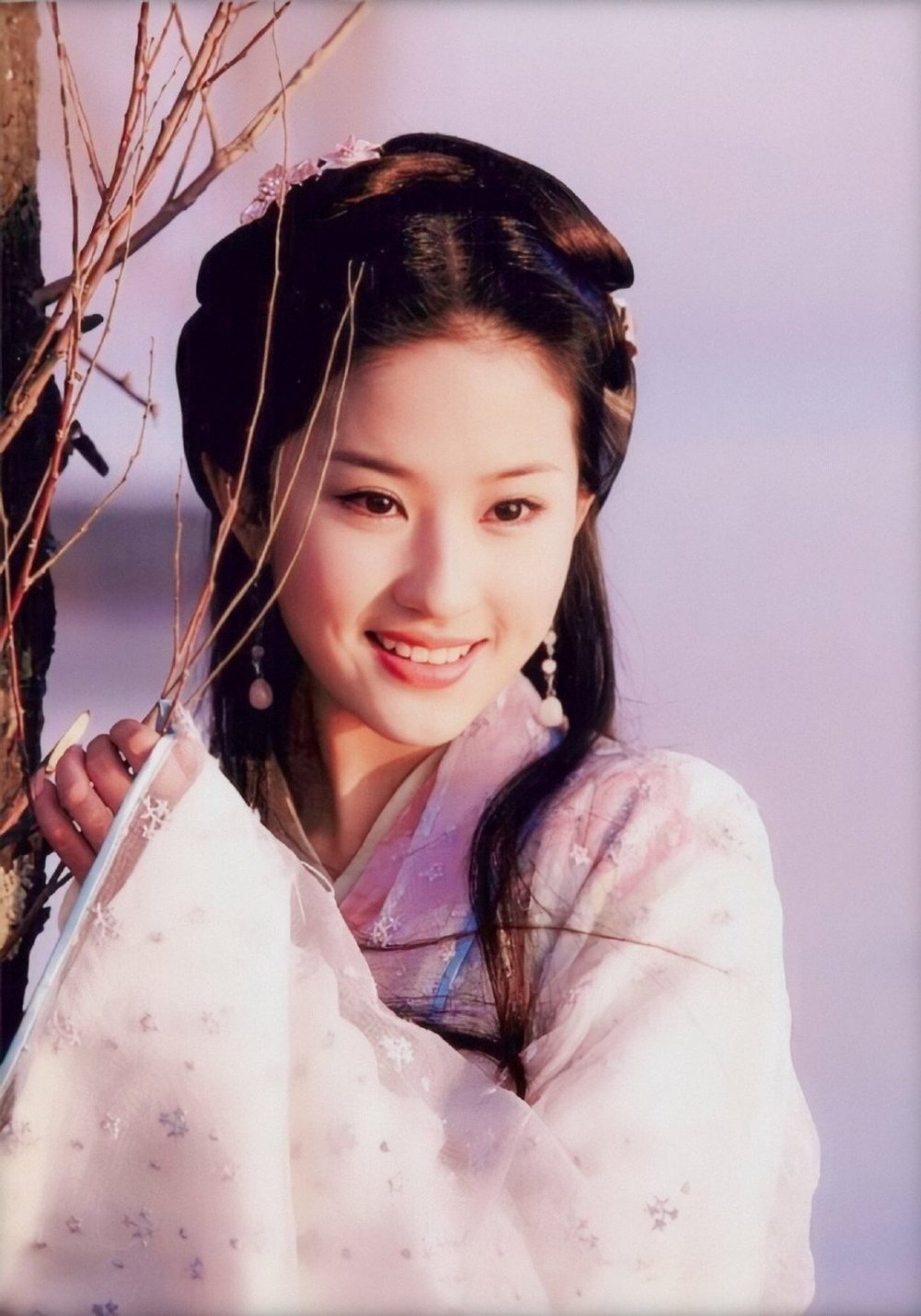 Lưu Diệc Phi là ai