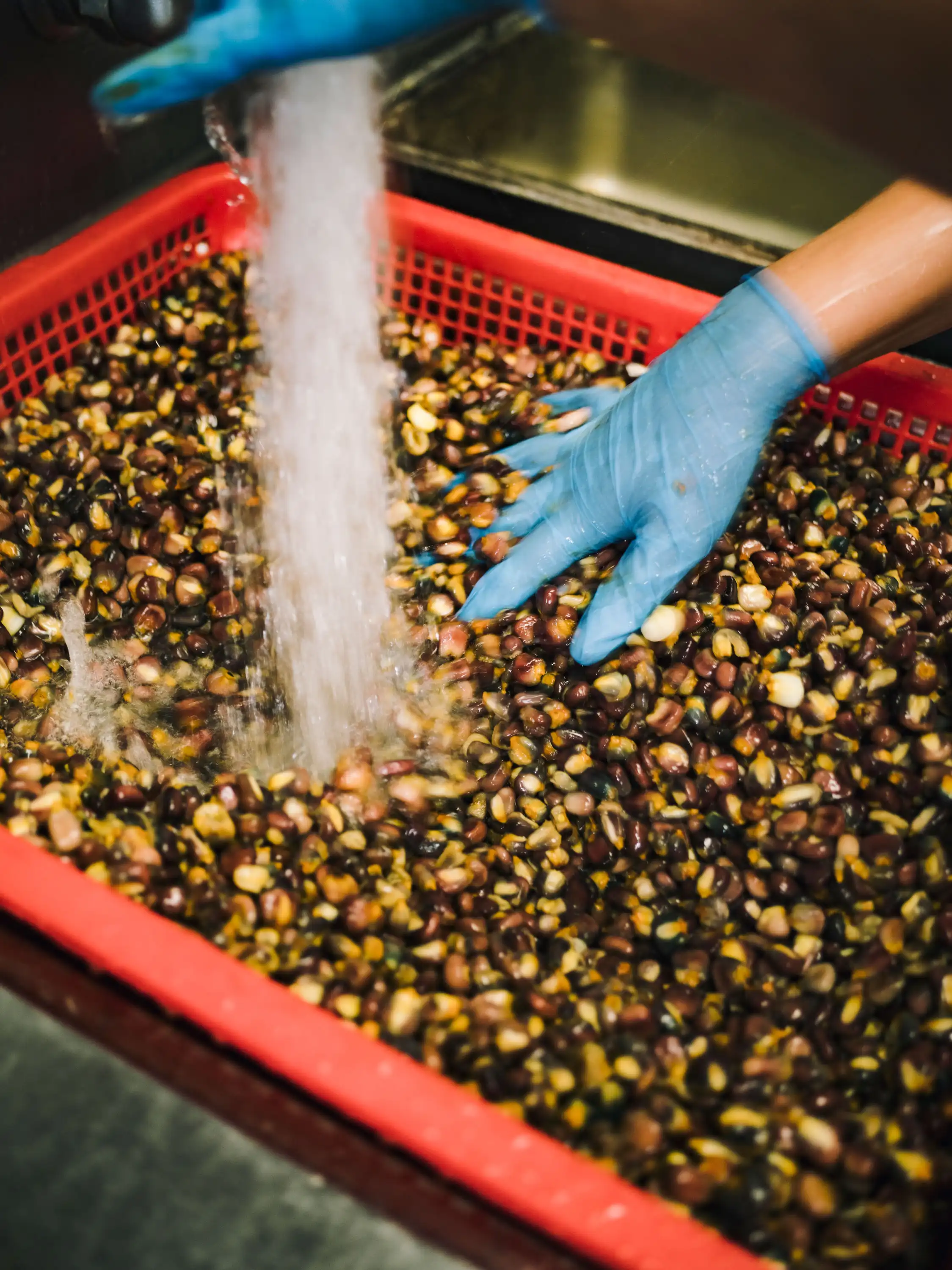 the 20 Best New Restaurants of 2024