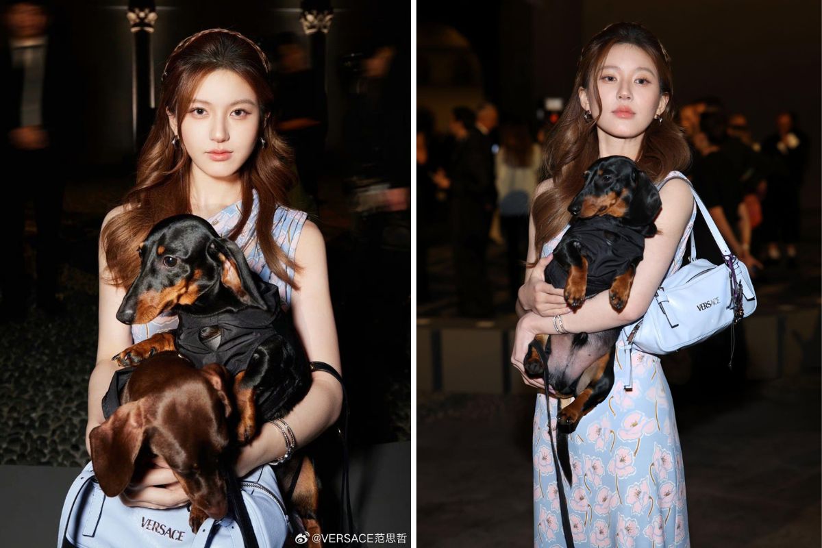 Triệu Lộ Tư tại show Versace