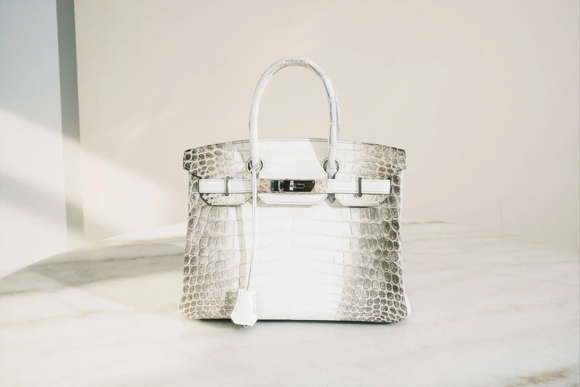 Túi Hermès bạch tạng