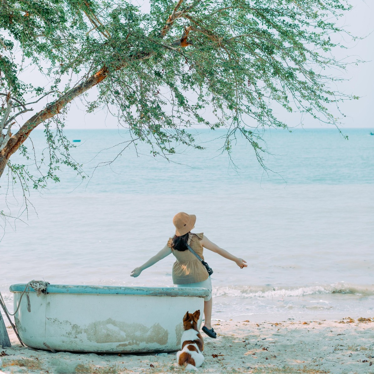 Ninh Vân Nha Trang
