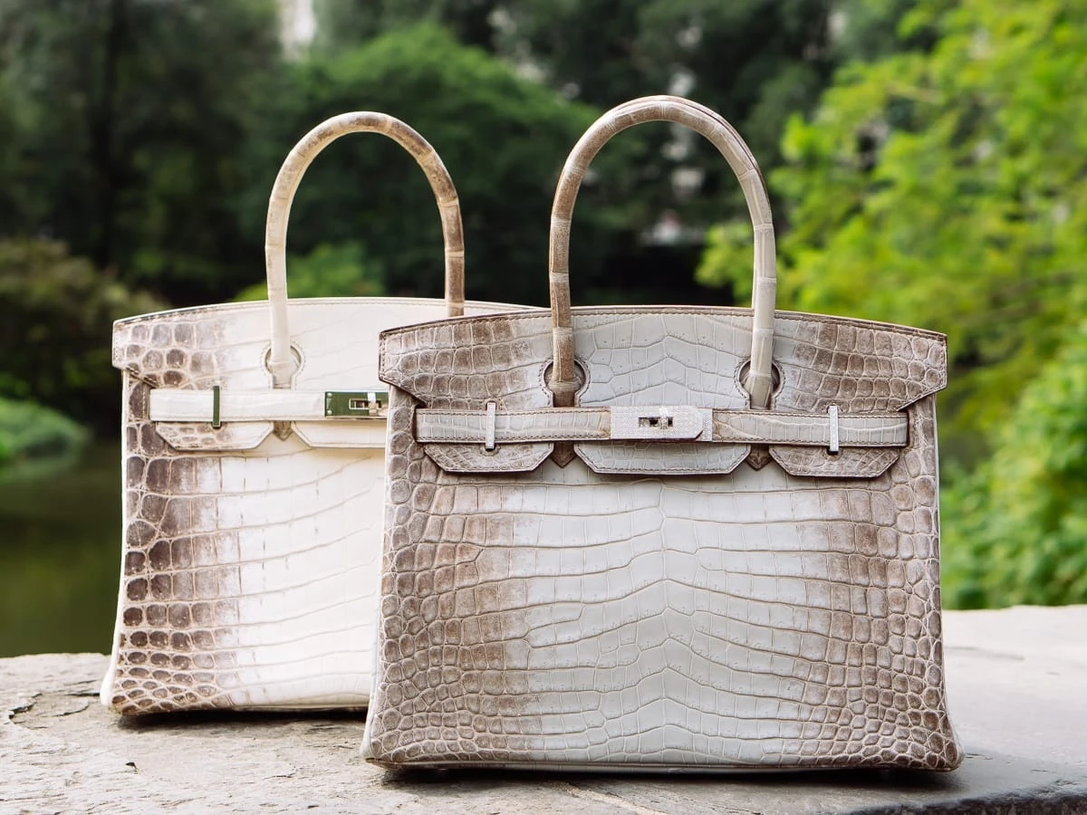 Túi Hermès bạch tạng