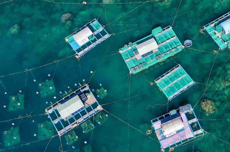 Tìm kiếm sự thanh bình tại 2 khu resort biển Quy Nhơn tuyệt đẹp