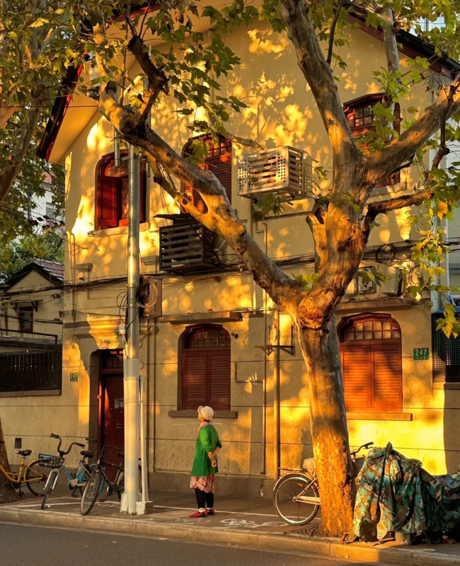 Du lịch Thượng Hải