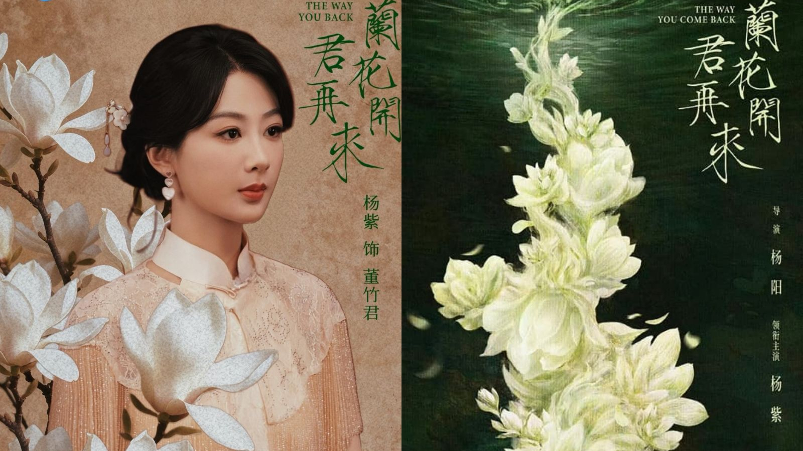 Dương Tử liên tiếp nhận dự án phim tầm cỡ thể loại đại nữ chủ, chuyển mình trong sự nghiệp