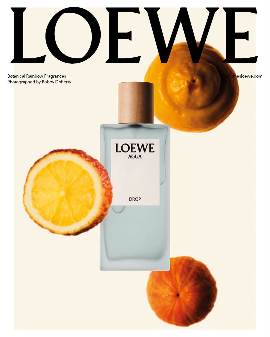 Nước hoa LOEWE