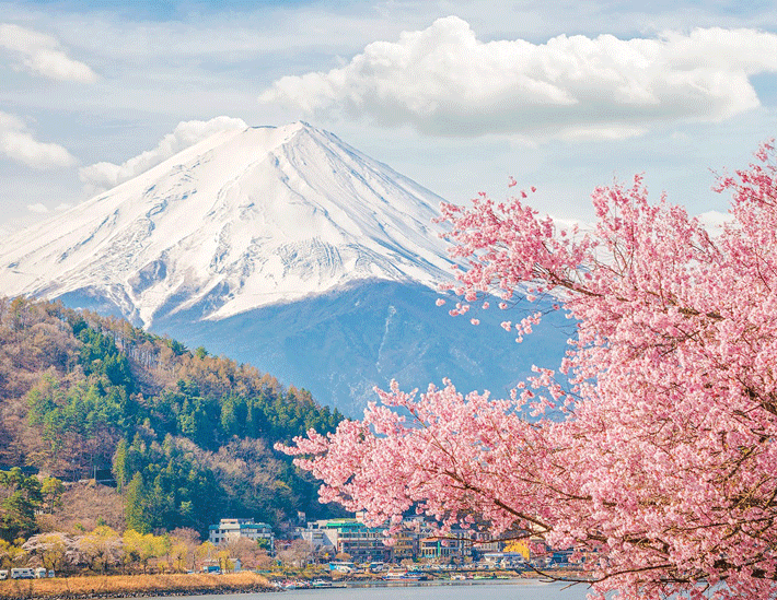 Tour Nhật Bản 5N4Đ: Khám phá Tokyo và núi Phú Sĩ trọn vẹn với giá tốt