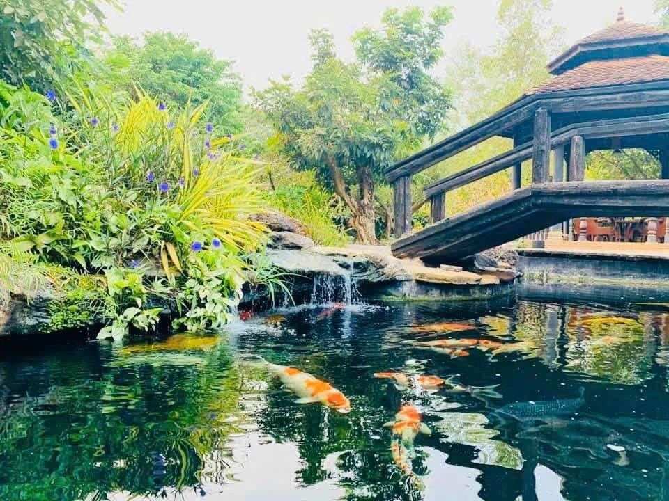 Bên trong biệt phủ rộng 1.600 m2 Hoàng Mập rao bán