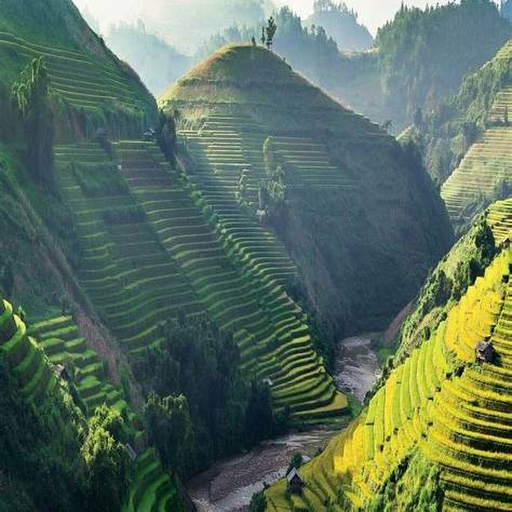 Sương núi Tây Bắc